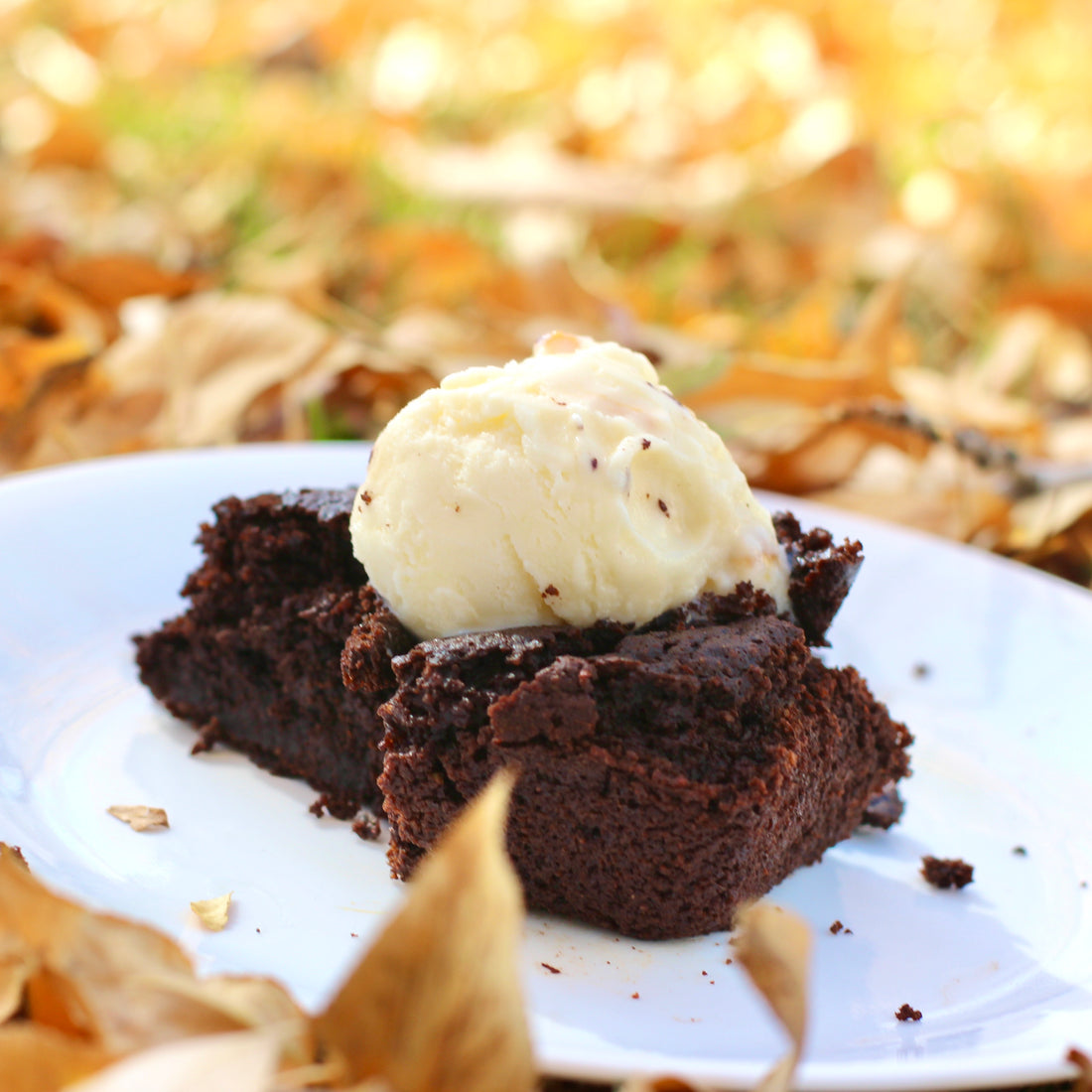 Fudgy Vegan Brownies