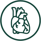 Icons-02.webp