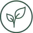 Leaf-01.webp